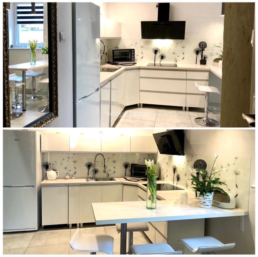 Apartament Mniszek コウォブジェク エクステリア 写真