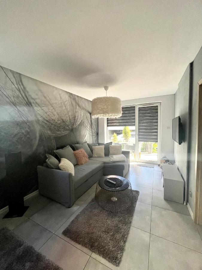 Apartament Mniszek コウォブジェク エクステリア 写真
