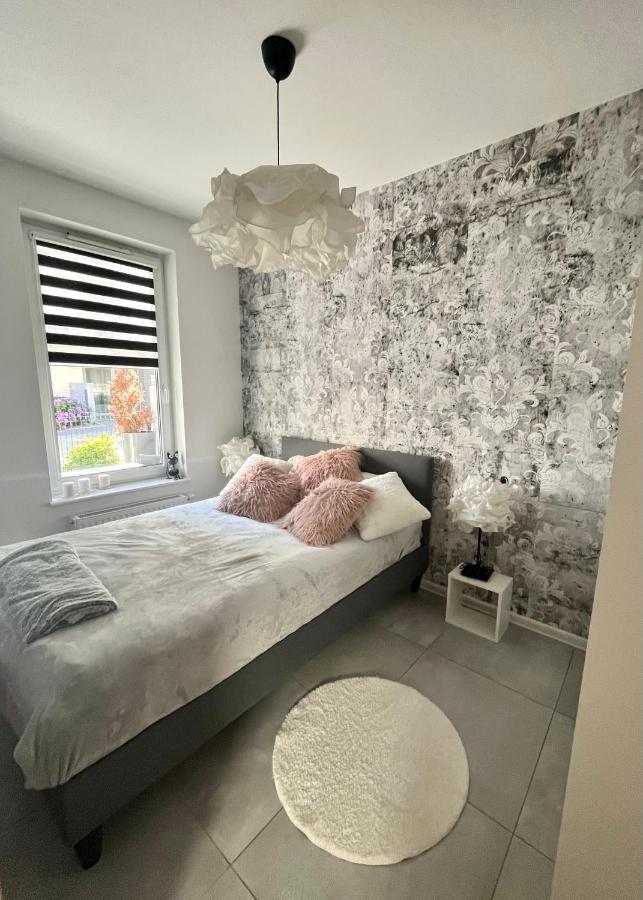 Apartament Mniszek コウォブジェク エクステリア 写真
